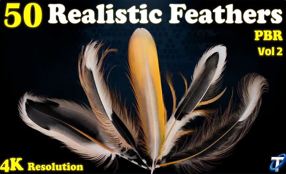 25 组写实羽毛纹理 25 Realistic Feather – PBR Textures (MEGA Bundle) – Vol 2