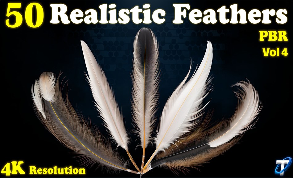 25 组写实羽毛纹理 25 Realistic Feather – PBR Textures (MEGA Bundle) – Vol 4