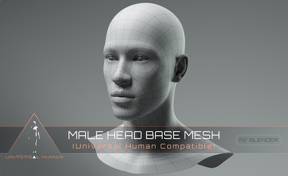 Blender插件 – 男性头部基础模型 Universal Human Male Head Base Mesh v3.0