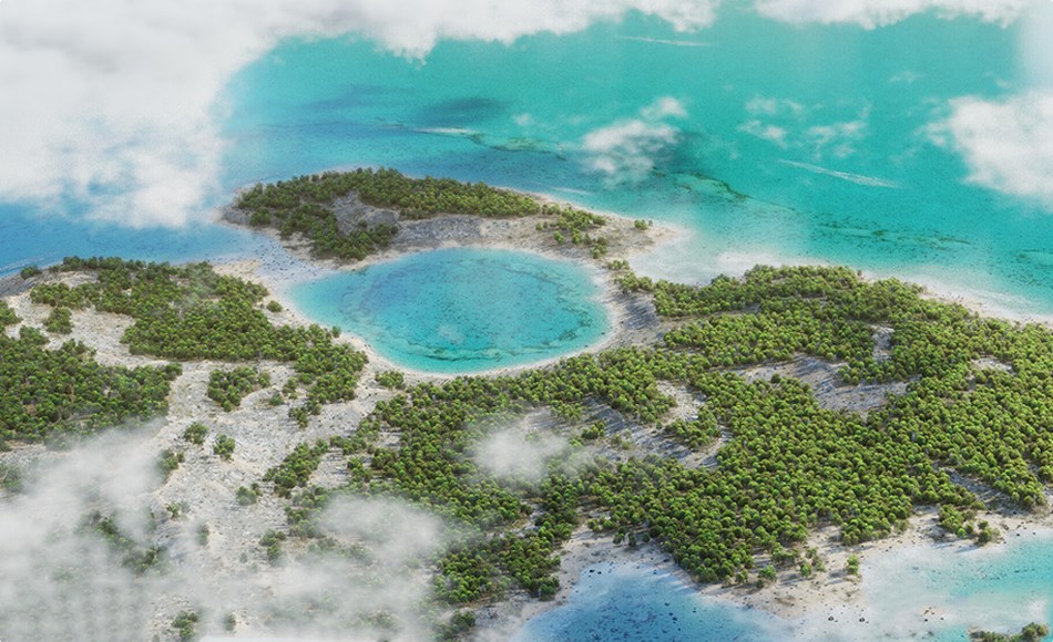 Blender插件 – 森林快速生成渲染插件 Alpha Trees – Render Massive Forests, Fast