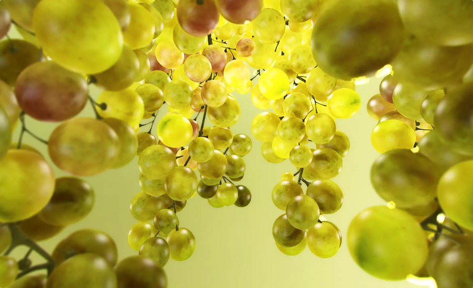 Unity材质 – 次表面散射材质 Subsurface Scattering Shader Unity材质 – 次表面散射材质 Subsurface Scattering Shader