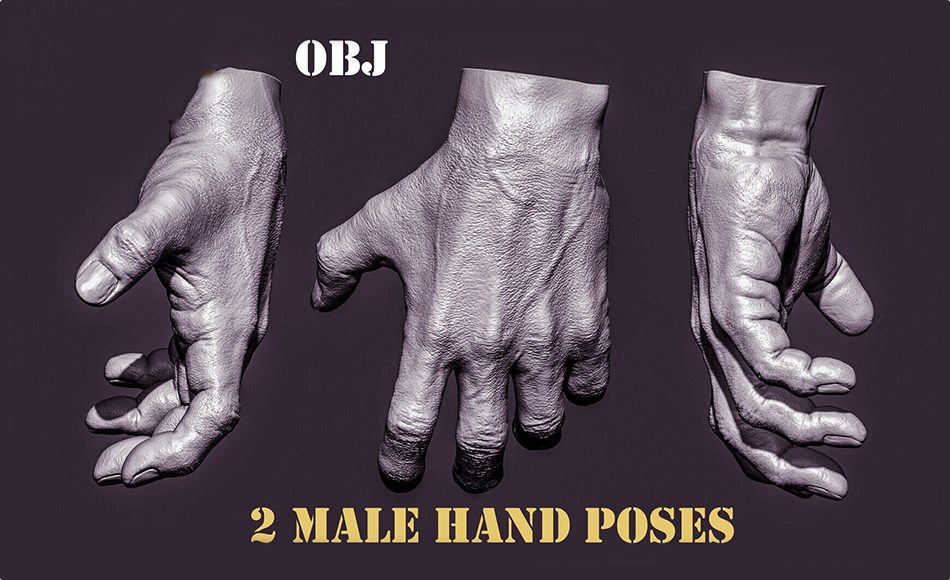 模型资产 – 男性手部姿势模型 2 Male hand poses 3D model OBJ