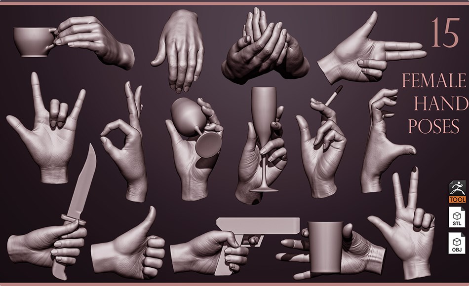 模型资产 – 女性手部姿势雕刻模型 15 Female hand poses 3D models ZTL+OBJ+STL
