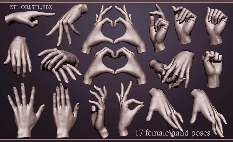 模型资产 – 女性手部姿势雕刻模型 17 Female hand poses 3D model ZTL,OBJ,STL,FBX