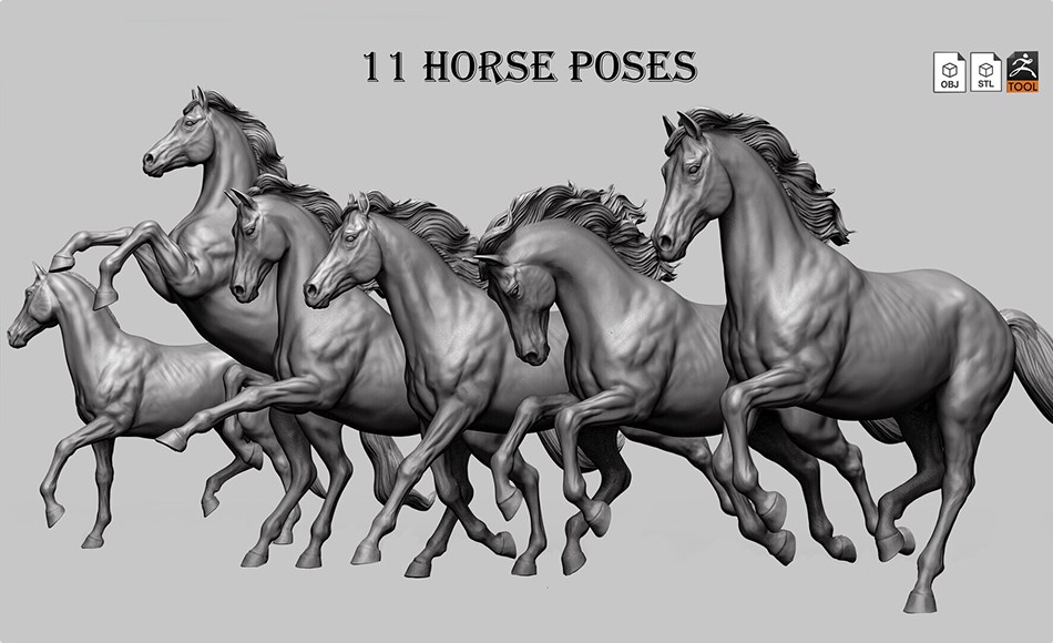 模型资产 – 马匹姿势雕刻模型11 horse poses – 3D Models- ZTL+OBJ+STL by Daniar Joldoshbek