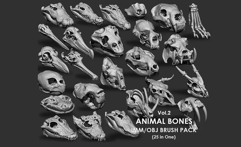 模型资产 – 动物头骨骨骼模型 Animal Bones Collection IMM/Stl/Obj Brush Pack 25 in One Vol.2