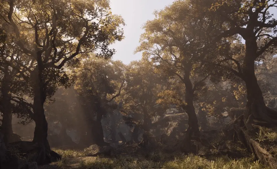 Houdini插件 – 高度精细的植物系统 Natsura