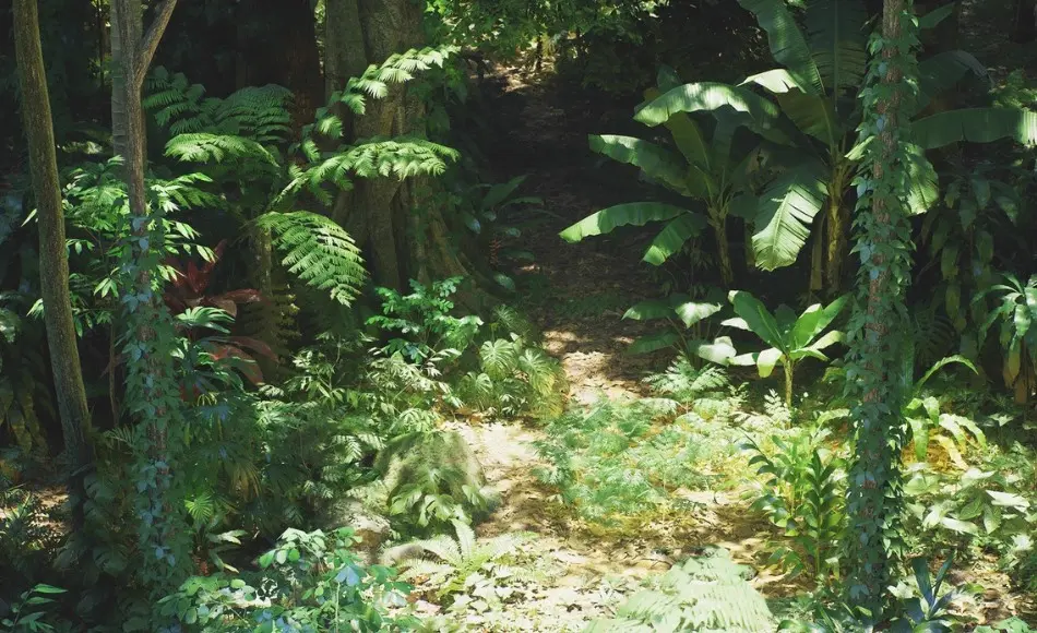 【UE5】热带雨林环境 Rain Forest Pack