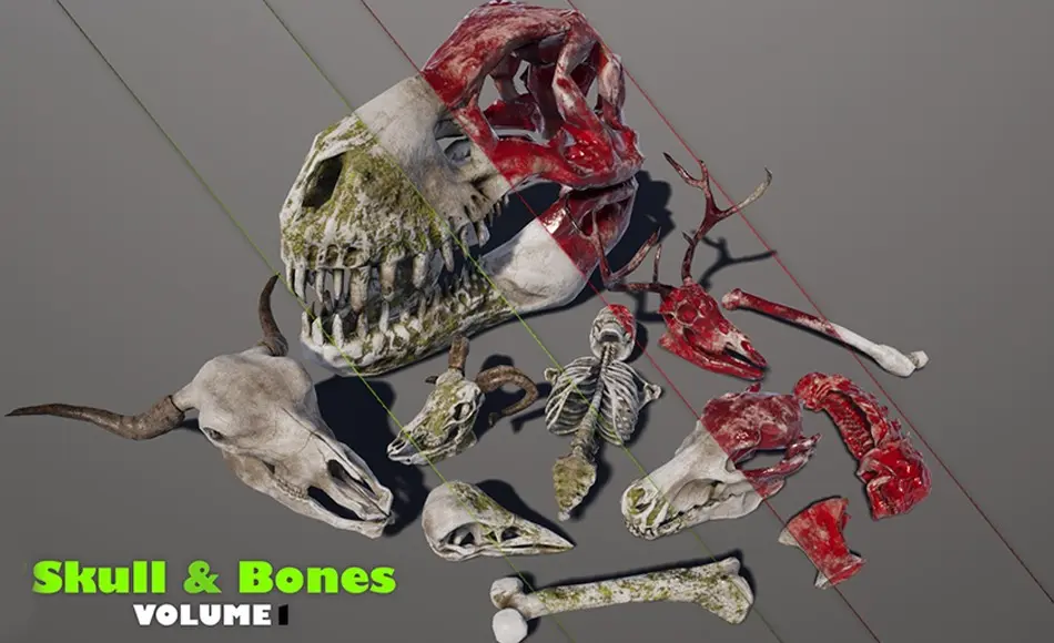 【UE5】骷髅骨头 Skull And Bones Vol.1