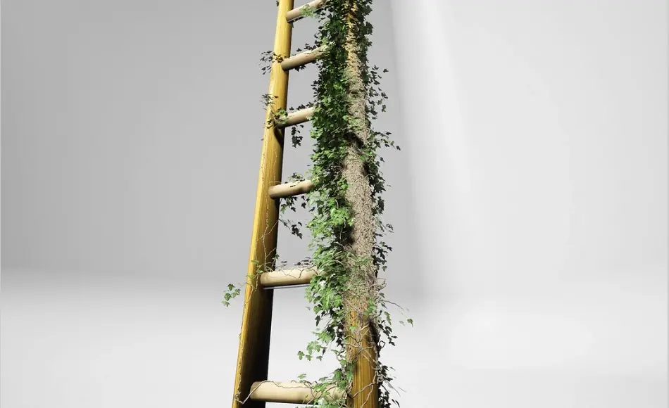 【UE5】常春藤资产 Everything Ivy Volume Two