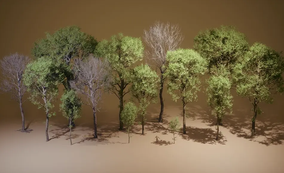 【UE5】山毛榉树植物 Foliage VOL.45 – Beech Trees (Nanite – NO TRANSPARENCY) 【UE5】山毛榉树植物 Foliage VOL.45 – Beech Trees (Nanite – NO TRANSPARENCY)