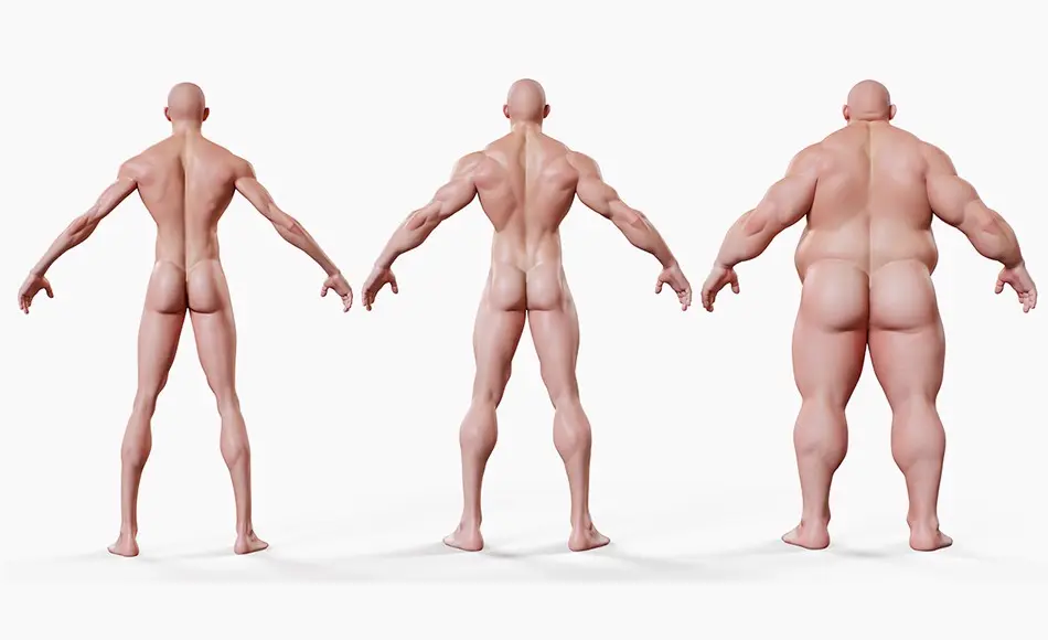 3DScan Store – 风格化男性可变形基础网格 Morphable Male – Stylised Base Mesh 3DScan Store – 风格化男性可变形基础网格 Morphable Male – Stylised Base Mesh