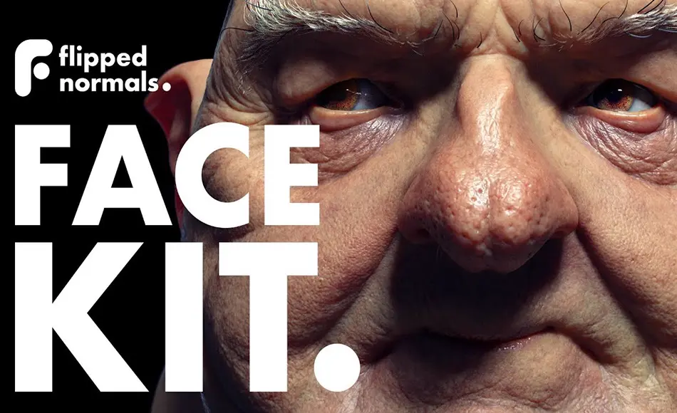 Zbrush插件 – 写实皮肤纹理制作插件 FlippedNormals Face Kit