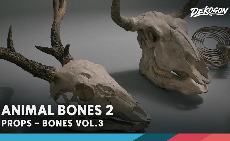 【UE5】动物头骨 Bones VOL.3 – Animal Bones 2 (Nanite + Low Poly)
