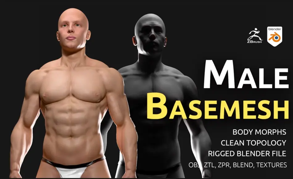模型资产 – 男性标准身体模型 Male Basemesh V2 – with body morphs and rigged files
