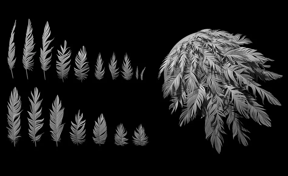 Zbrush笔刷 – 破旧羽毛画笔 Tattered Feathers IMM Brush