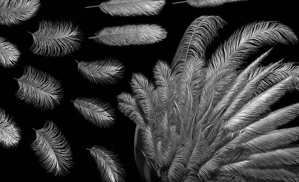 Zbrush笔刷 – 柔软羽毛画笔 Soft Feathers IMM Brush + OBJs