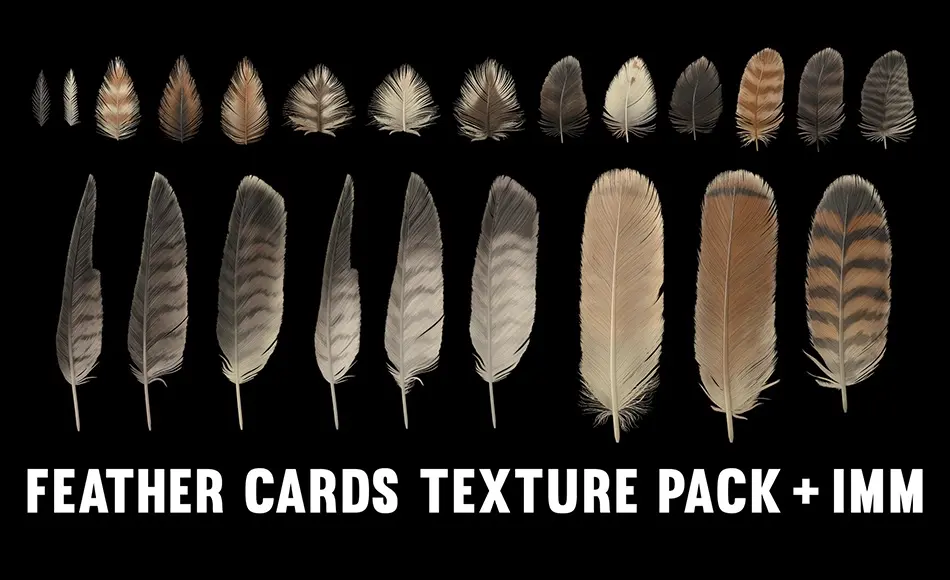 Zbrush笔刷 – 红尾鹰羽毛材质包 Red-Tailed Hawk Feathers Texture Pack + IMM