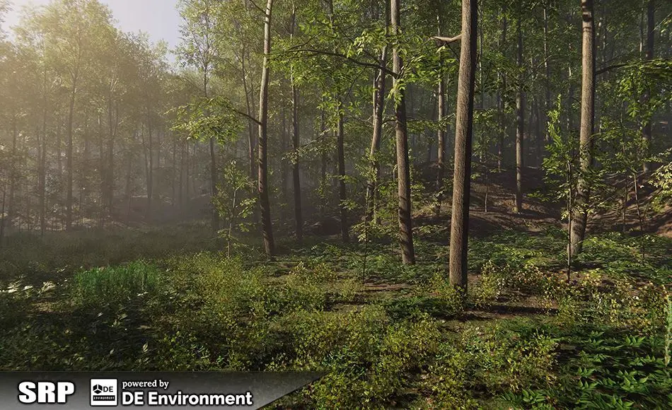 Unity环境 – 写实森林环境 Nature Package – Forest Environment
