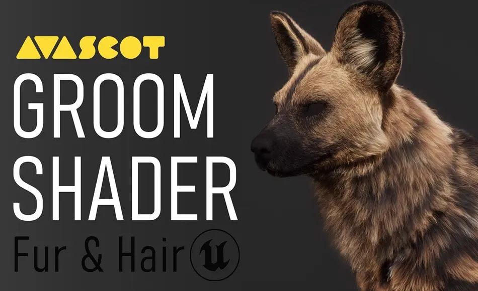【UE5】毛发材质 AVASCOT Groom Shader – Hair & Fur 【UE5】毛发材质 AVASCOT Groom Shader – Hair & Fur