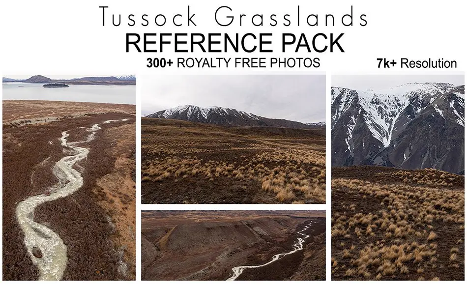 300 张簇生草地参考照片 Reference Pack – Tussock Grasslands – 300+ Royalty Free Photos