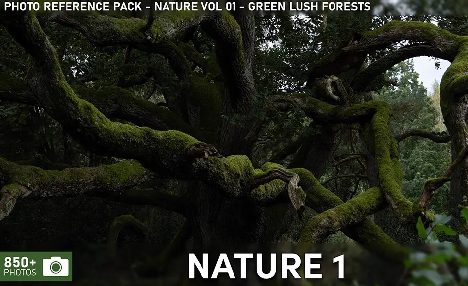 850 张森林参考照片 Photo Reference Pack – Nature VOL.01 – Green Lush Forests