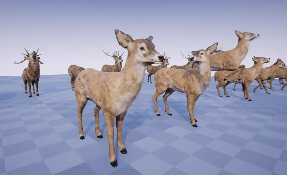 【UE4/5】森林动物包 FOREST ANIMALS PACK