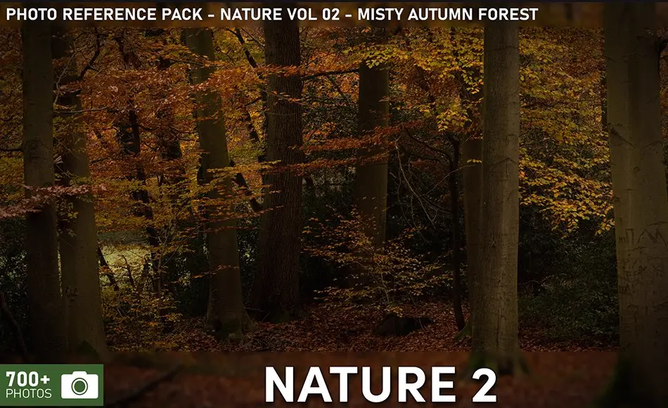 700 张森林参考照片 Photo Reference Pack – Nature VOL.02 – Misty Autumn Forests