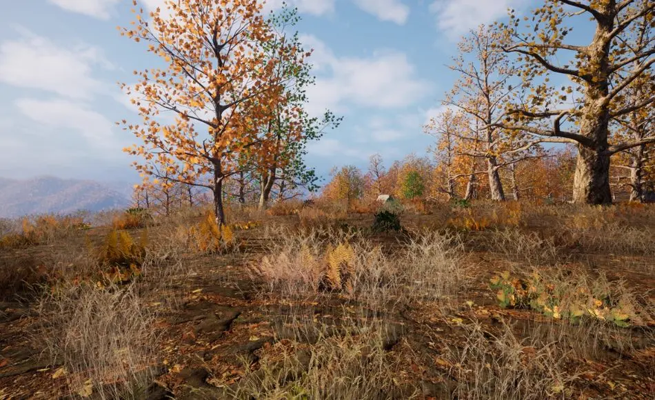 【UE5】程序化森林 225 Square Km Procedural Forest 【UE5】程序化森林 225 Square Km Procedural Forest