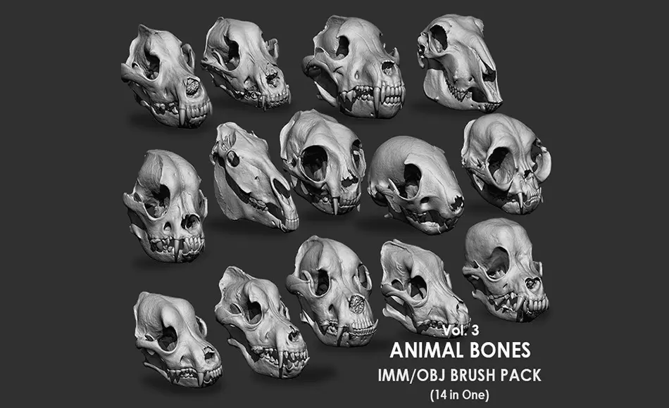 模型资产 – 动物头骨骨骼模型 Animal Bones Collection IMM/Stl/Obj Brush Pack 14 in One Vol.3