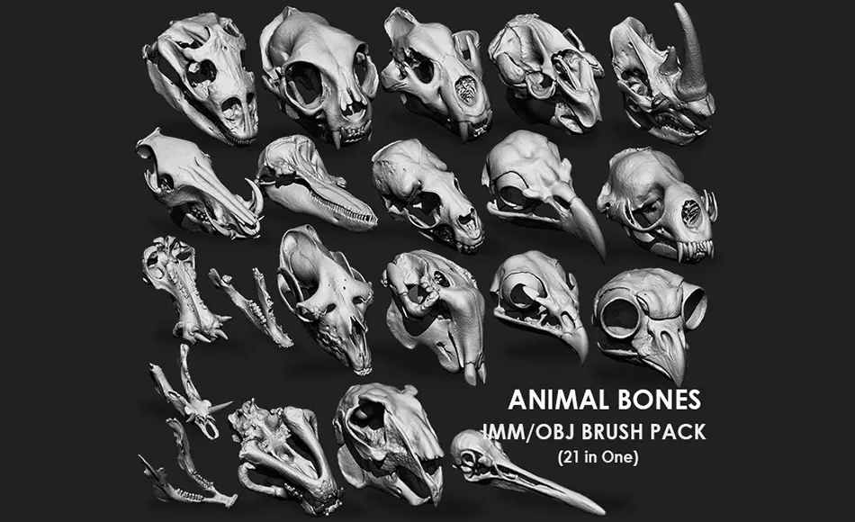 模型资产 – 动物头骨骨骼模型 Animal Bones Collection IMM\Stl\Obj Brush Pack 21 in One Vol.1