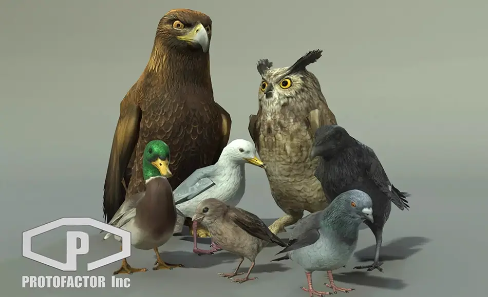 Unity动物 – 鸟类资产包 BIRDS PACK