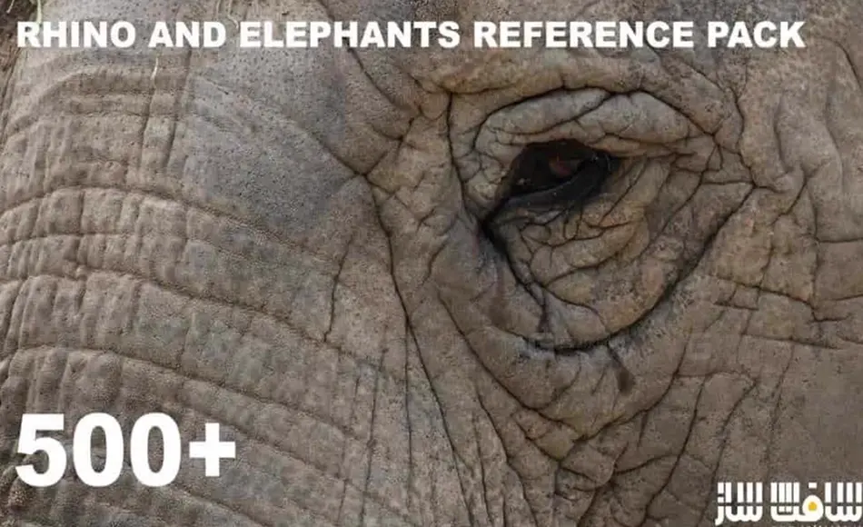 500 多张犀牛大象参考图片 500+ Rhino and Elephants