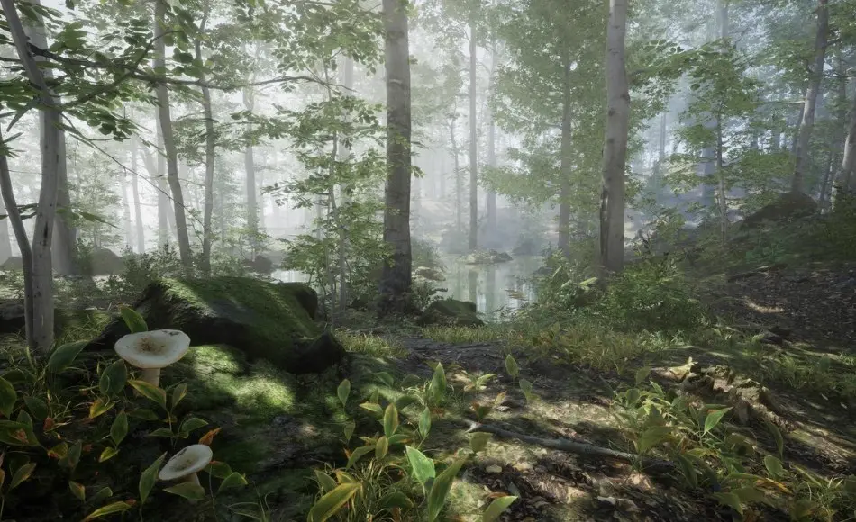 【UE5】森林环境套装 Forest – Environment Set