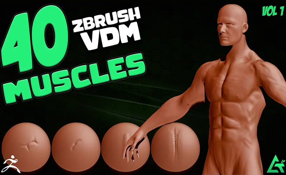 Zbrush笔刷 – 40 组真实肌肉笔刷 40 Real Muscles VDM Brush