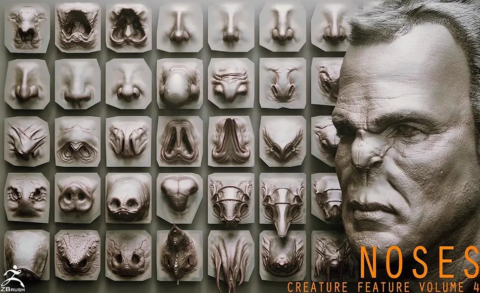 Zbrush笔刷 – 40 组鼻子笔刷 NOSES – 40 ZBrush VDM Nasal Areas