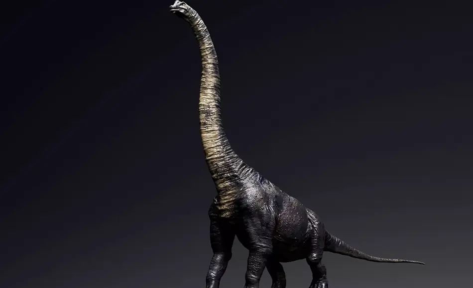 Unity动物 – 腕龙 Dinosaur Brachiosaurus Sauropod