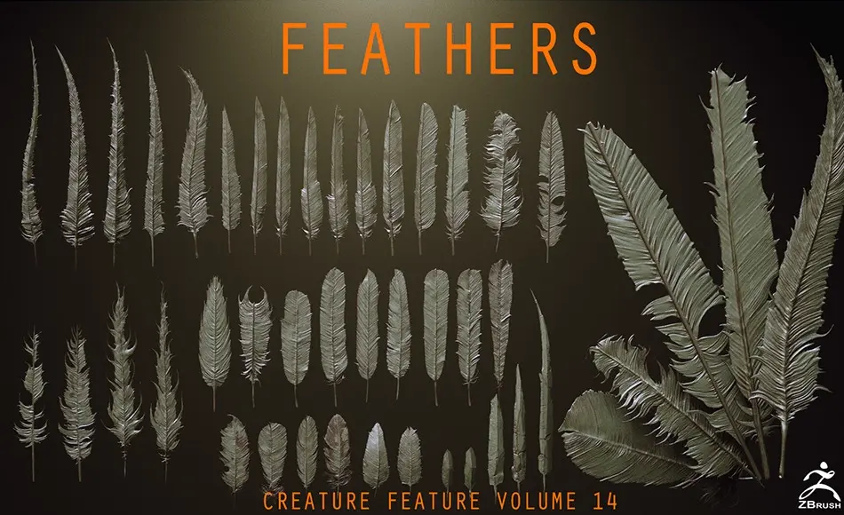 Zbrush模型 – 40 个高质量羽毛模型 FEATHERS – 40 High poly sculpts and IMM Brush Zbrush模型 – 40 个高质量羽毛模型 FEATHERS – 40 High poly sculpts and IMM Brush