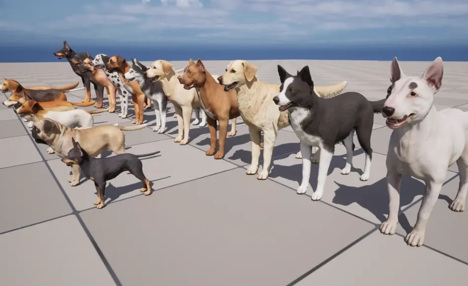【UE5】狗资产包 Dogs Big pack