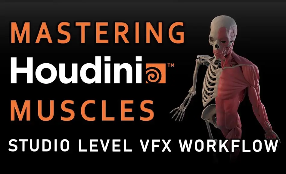 【中文字幕】肌肉特效模拟工作流程 Mastering Houdini Muscles: A Studio Level VFX Workflow