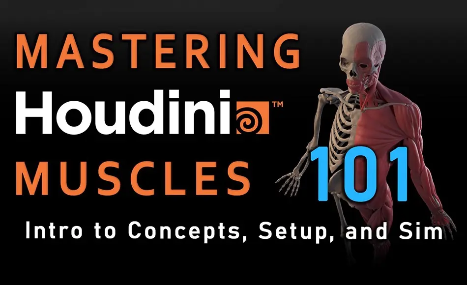 【中文字幕】Houdini教程 – 肌肉系统 Mastering Houdini Muscles 101