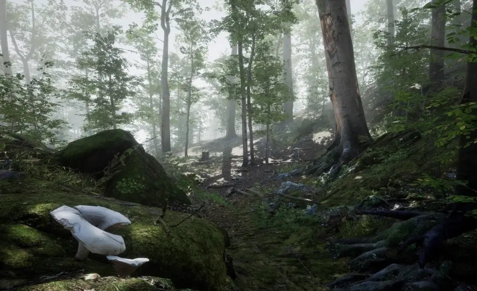 【UE5】森林环境套装 Forest Environment Set