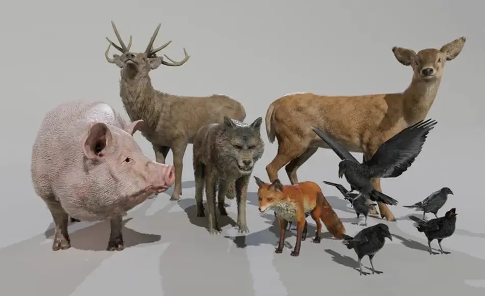 【UE5】动物资产包 ANIMAL VARIETY PACK