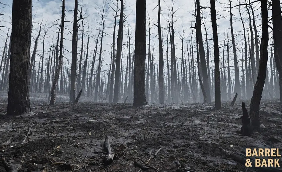 【UE5】烧毁的森林环境 Burnt Forest Aftermath Environment