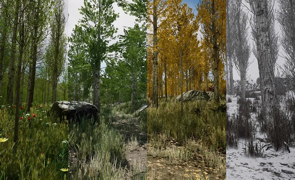 【UE5】白杨林植物 Scanned Poplar and Aspen Forest with Seasons