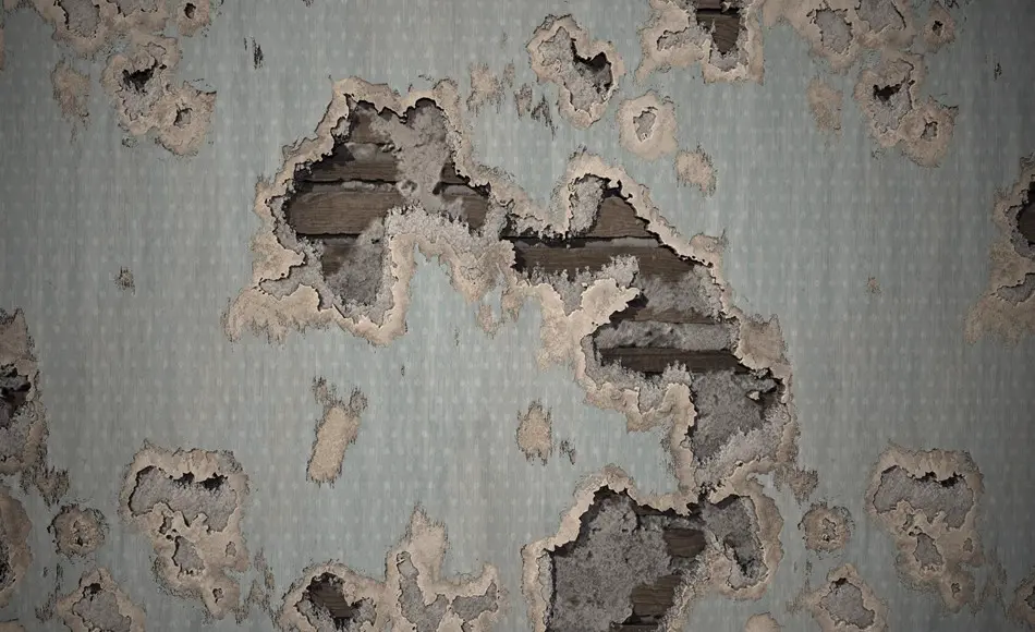 14 种损坏报废材质 DESTROYED MATERIALS COLLECTION