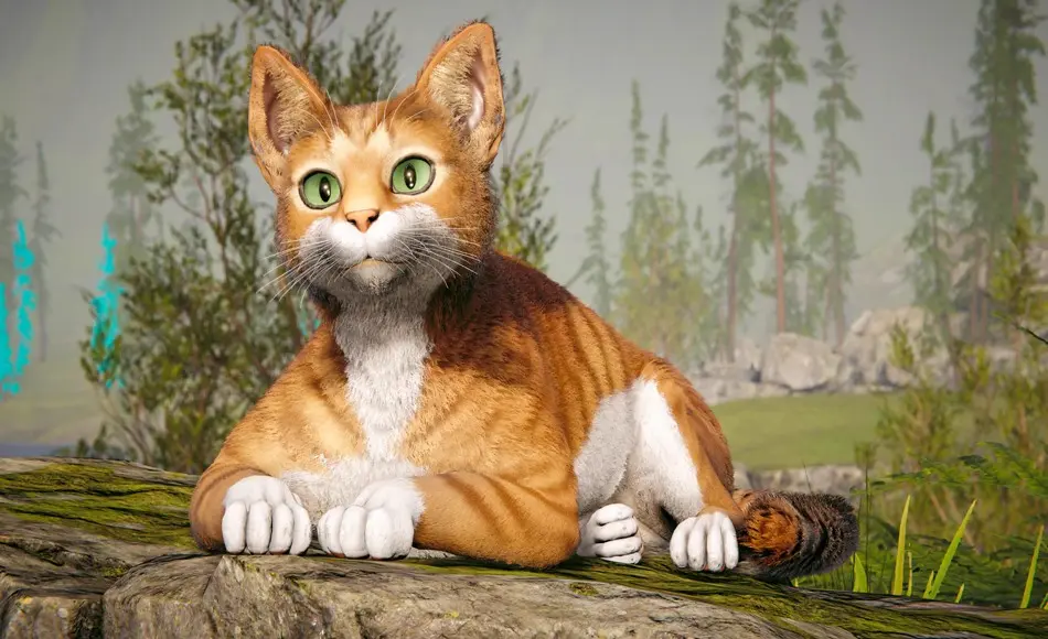 Unity资产 – 猫咪动画 Milo the Cat