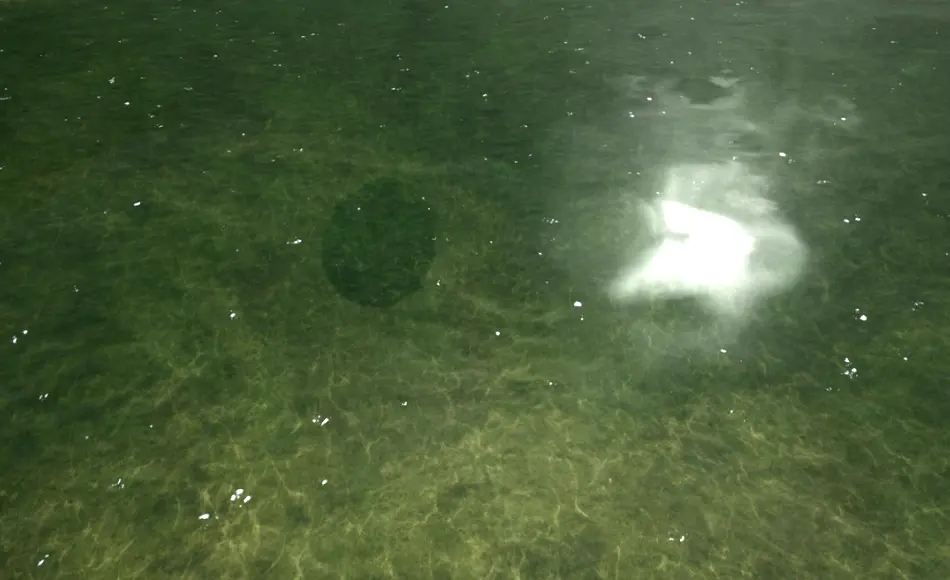 【UE5】腐蚀剂/泡沫/潮汐 Water BP/Caustics/Foam/Tide